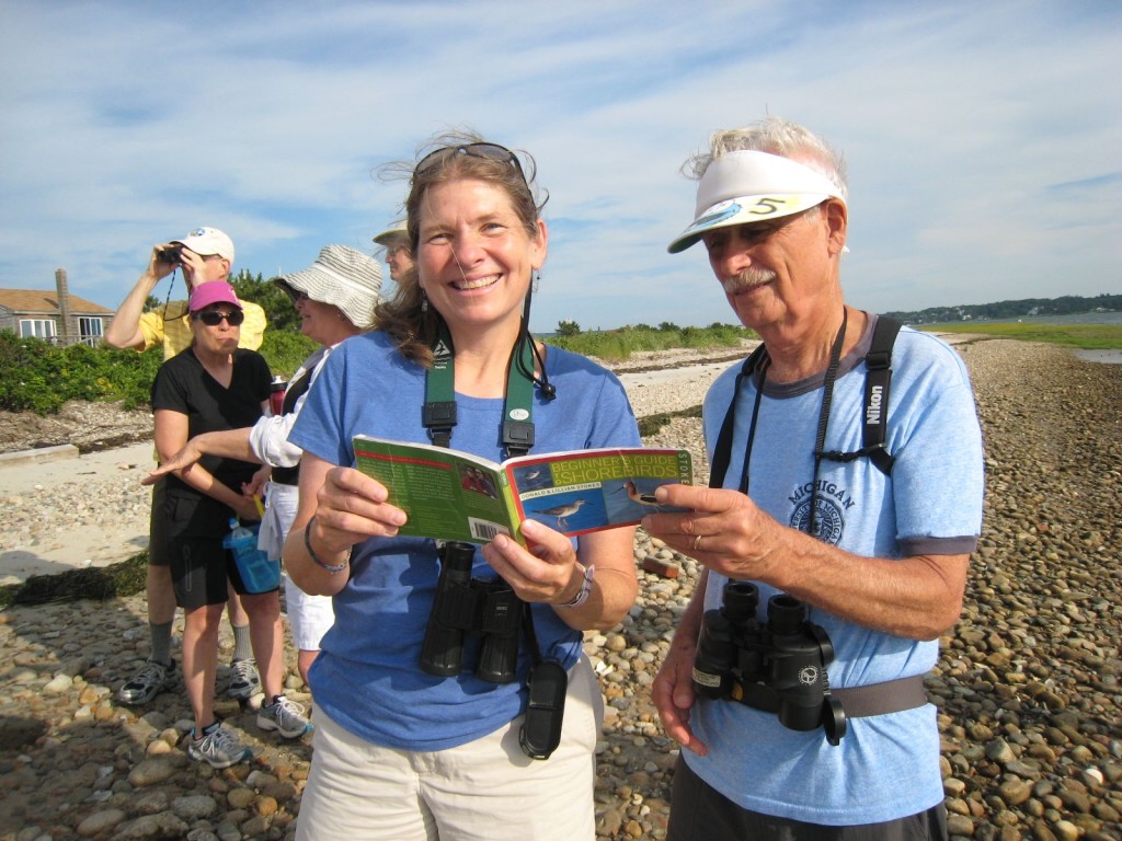 Beach Ambassadors identifying birds on the beach