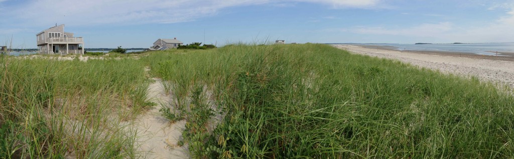 A panorama of Long Beach with Goldenrod's field station to the left. Photo by Shiloh Schulte