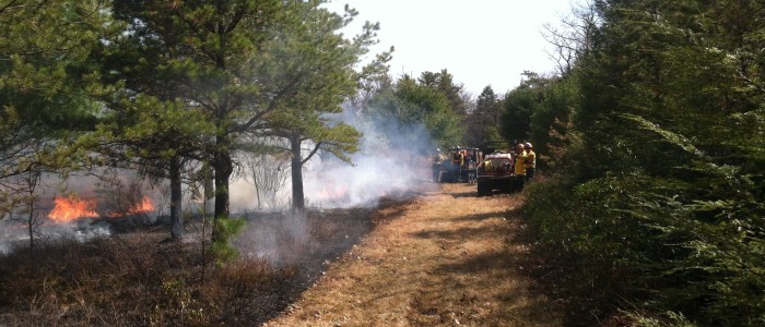 Prescribed burn by WRI