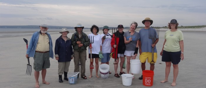 Beach Ambassadors hunt the giant surf clam