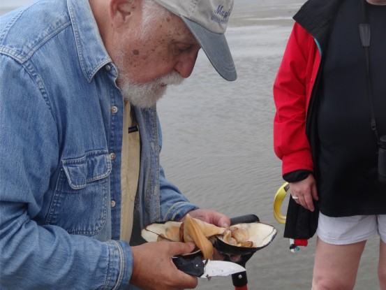 Learning how to shuck a clam