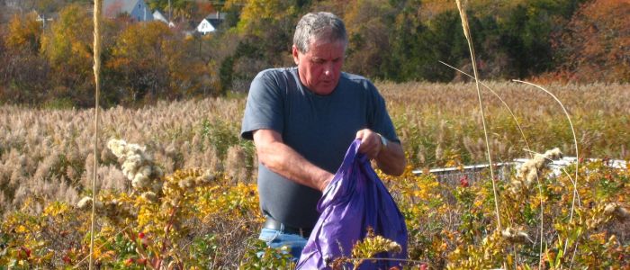 Roll up your Sleeves for Plymouth’s 11th Hometown Cleanup