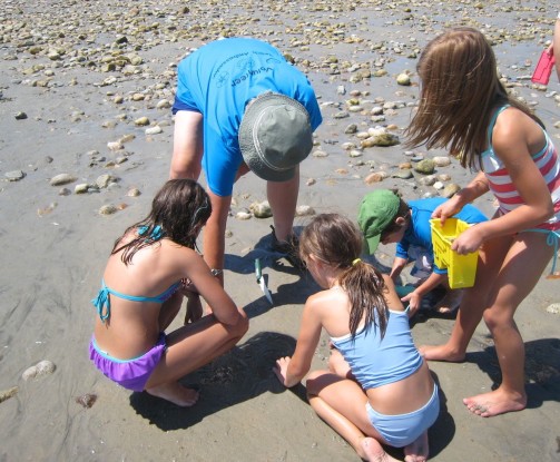 A Beach Ambassador leading nature discovery games for kids.