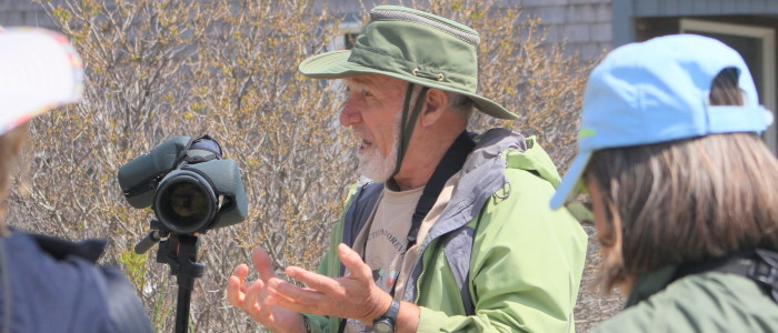 Shorebirds in Migration: A Field Trip with Brian Harrington