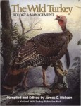 The Wild Turkey by James Dickson