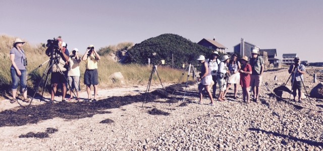 A short walk yielded  many shorebirds for our group. Photo by Susan Callanan.