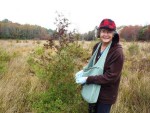 Glorianna collects seeds of American white cedar for propagation. Photo credit: Alex Hackman.