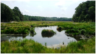 The restored headwaters of the Eel River in Plymouth.