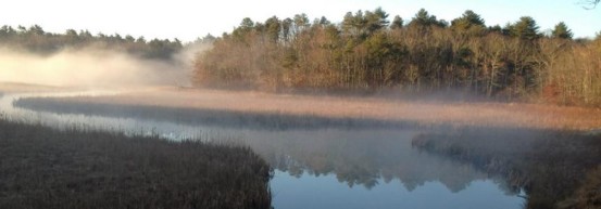 Tidmarsh Farms in the fog. Photo courtesy of G. Davenport.