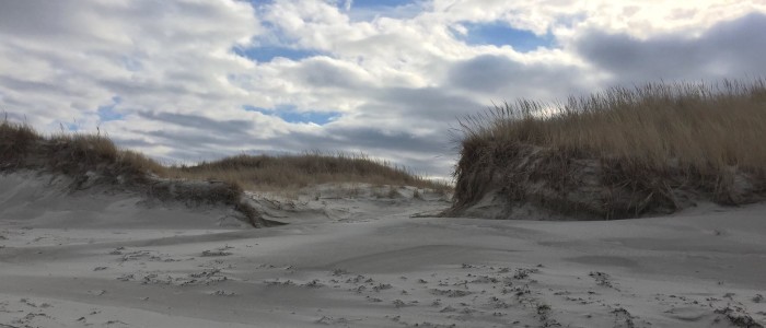 To us the dunes looked inviting for a Snowy Owl. Photo credit: Deb Harrison