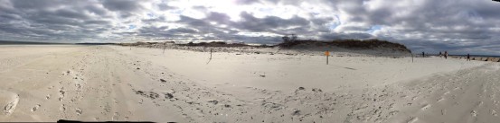 A panorama of the northern tip of Long Beach. Photo credit: Deb Harrison