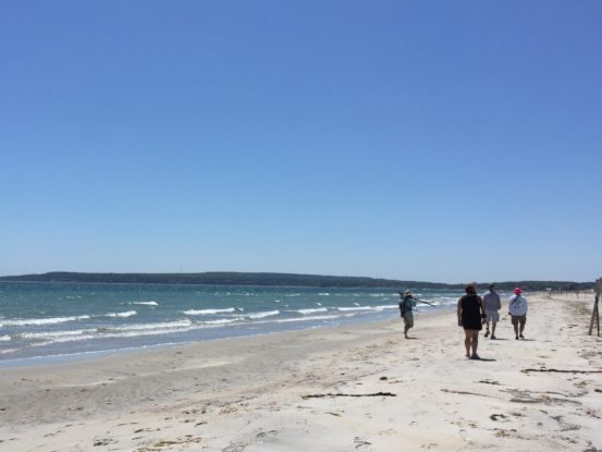 Birding group strolls along Long Beach.