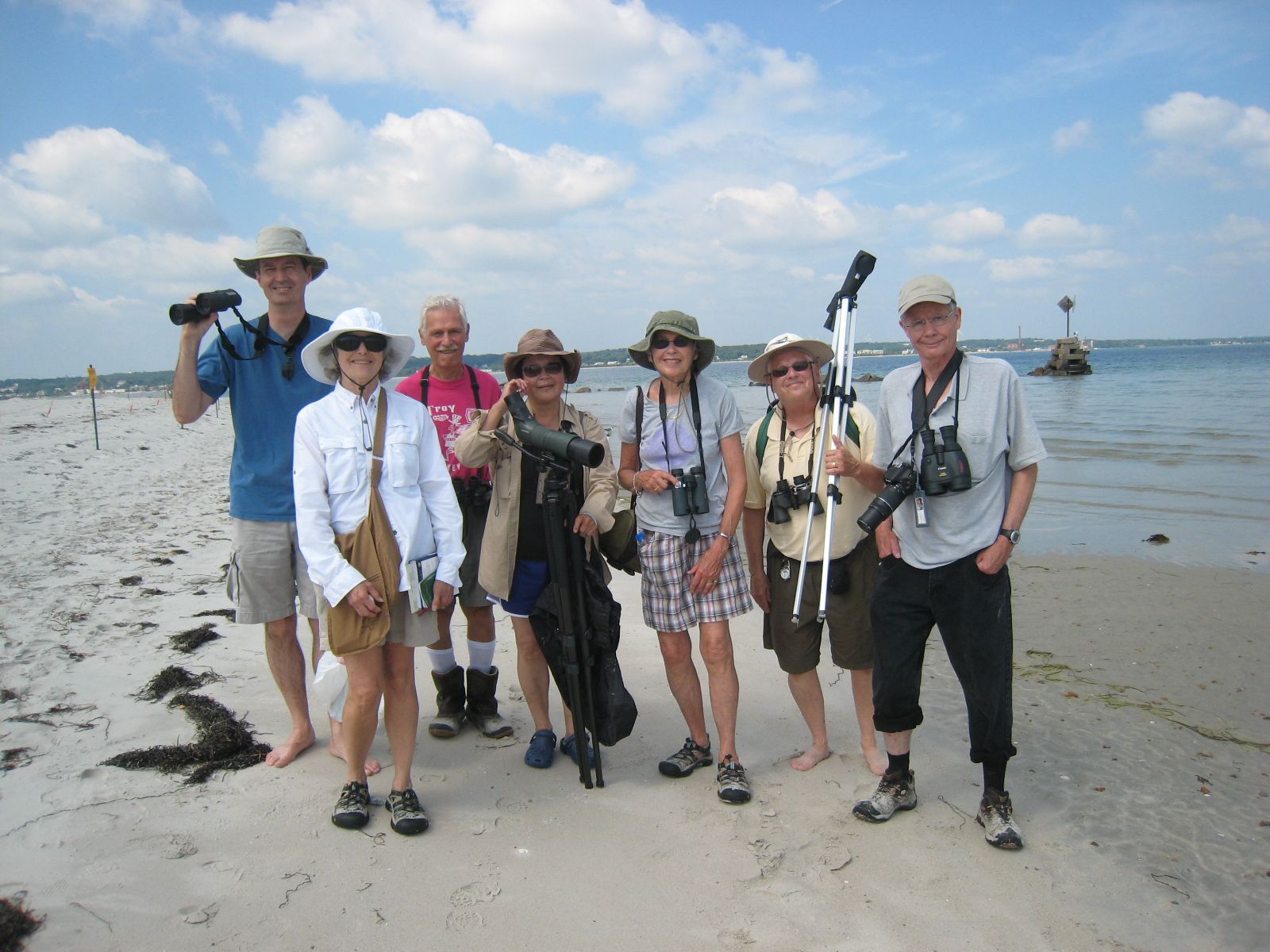 Birding on the beach with the Bird Brains