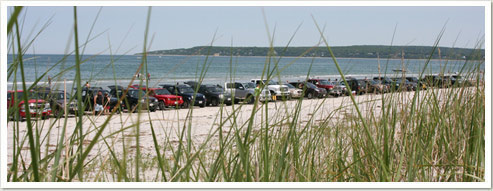 beach management document archive